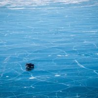 FrozenLake