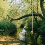 RopeSwingLake
